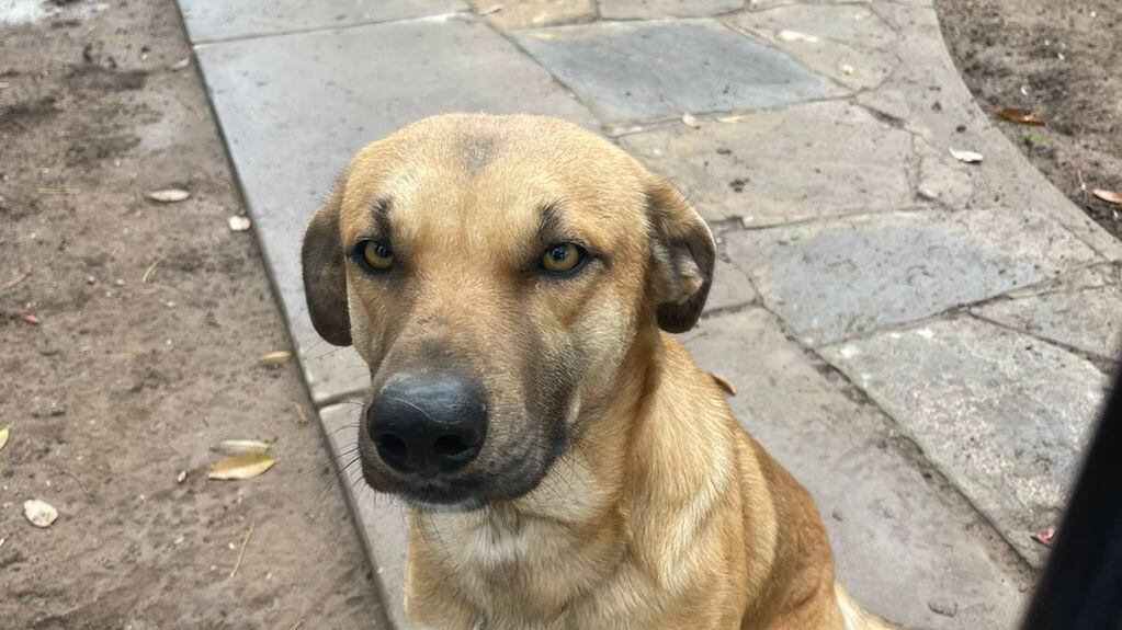 Valentín Foto: Agustina Riveros.