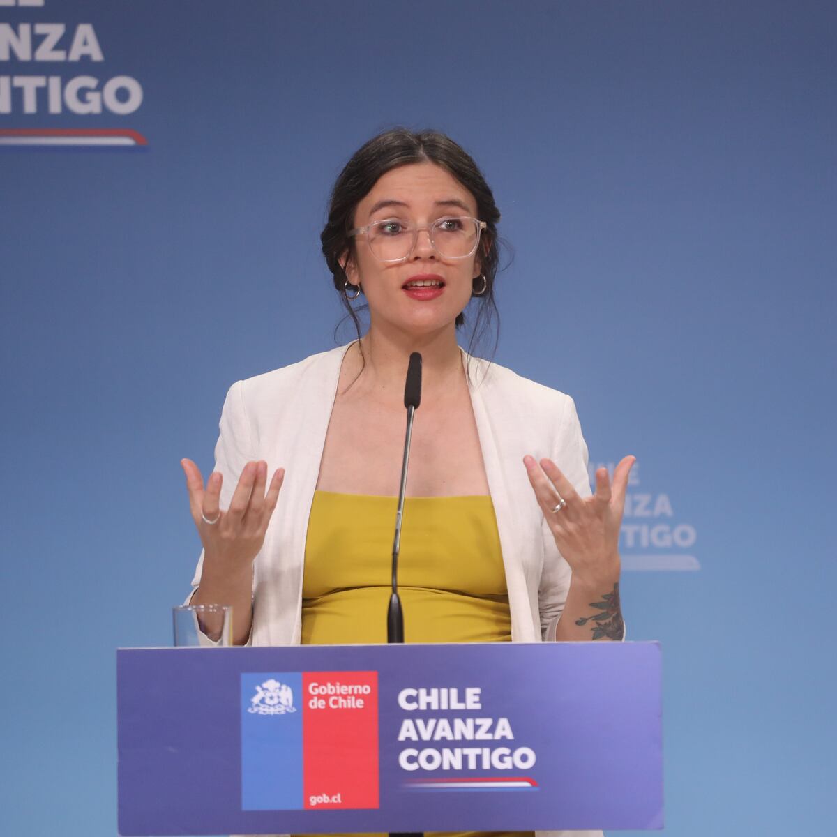 Gobierno desmiente denuncia por acoso sexual contra Boric Gobierno desmiente denuncia por acoso sexual contra Boric