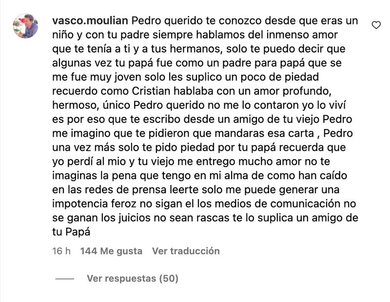 Comentario de Vasco Moulian | Captura: Instagram