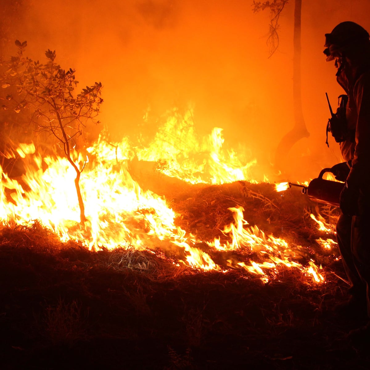 Detienen a sospechosa de incendio en Los Sauces Detienen a sospechosa de incendio en Los Sauces