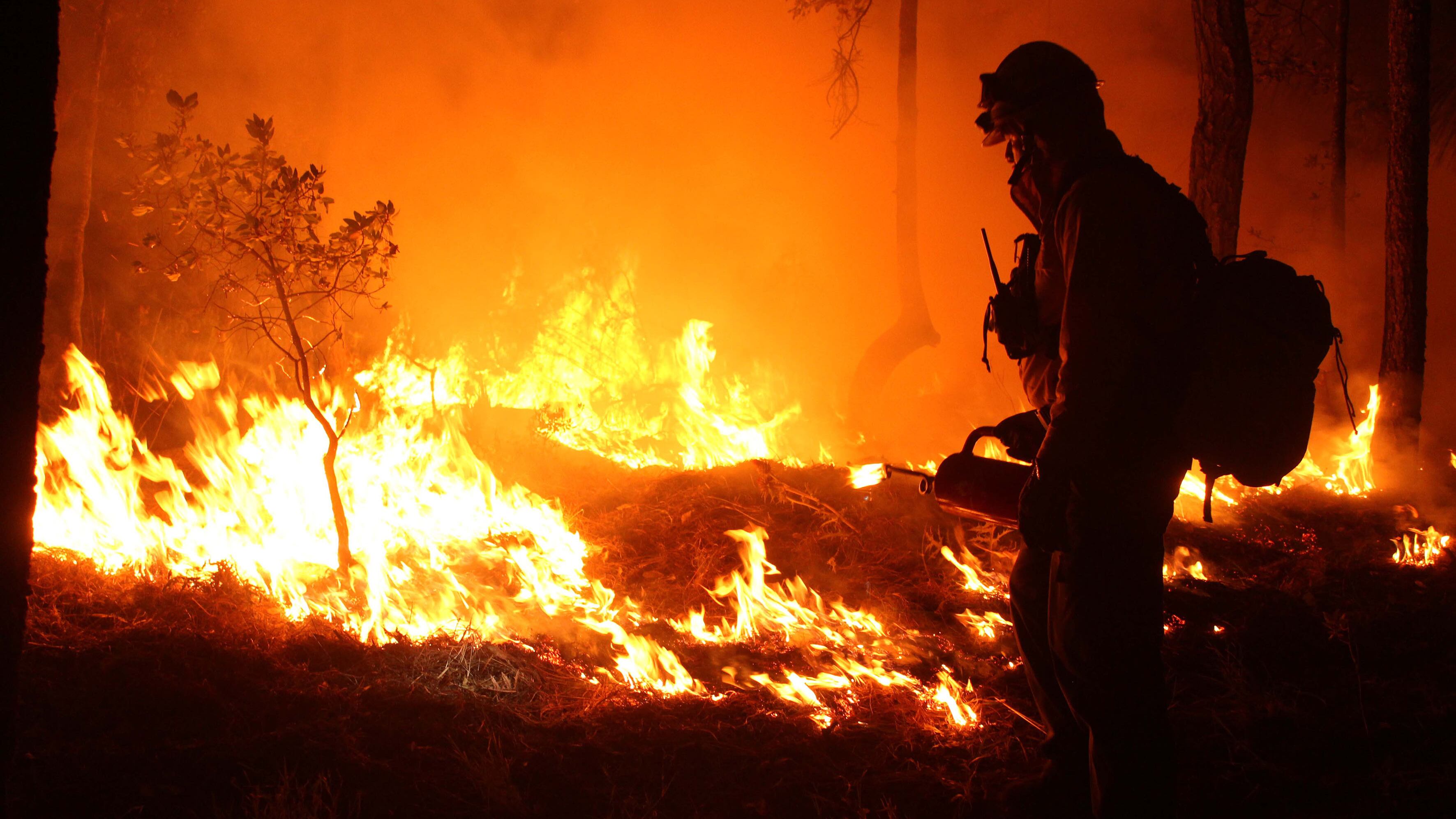 Incendios forestales