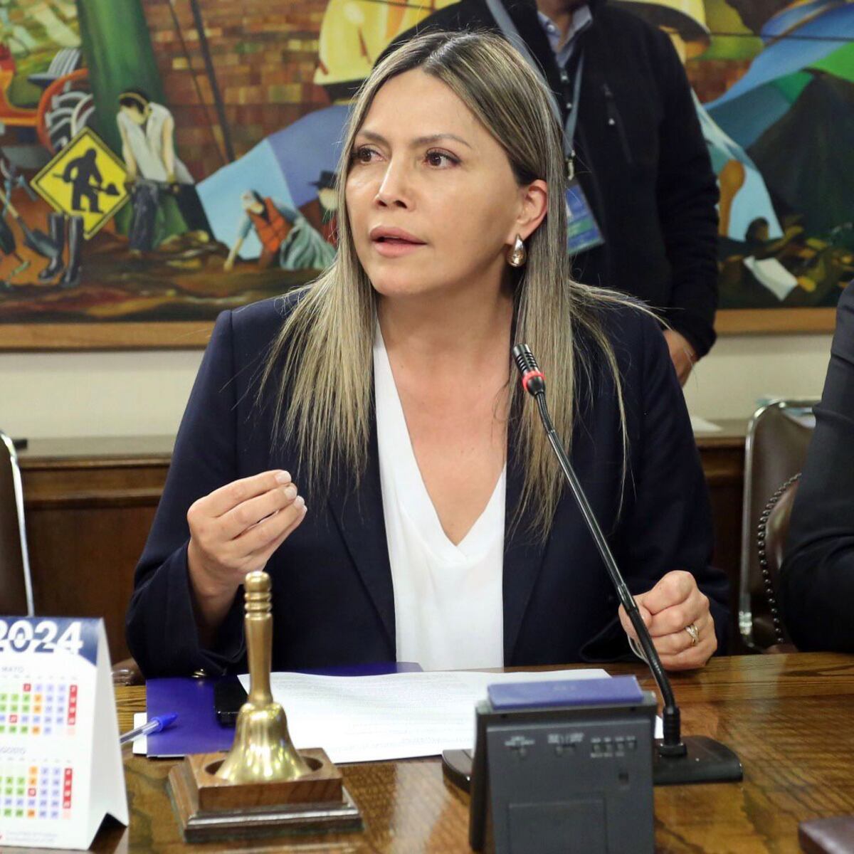 Diputada Pérez insta al gobierno a considerar energías renovables para reducir costos de luz Diputada Pérez insta al gobierno a considerar energías renovables para reducir costos de luz