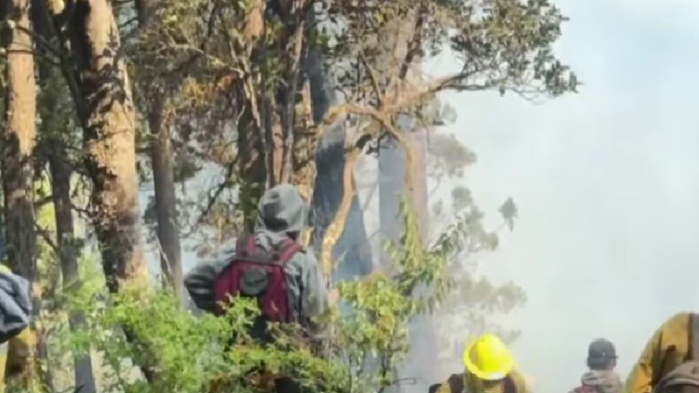 Voraces incendios forestales en la Patagonia Argentina.