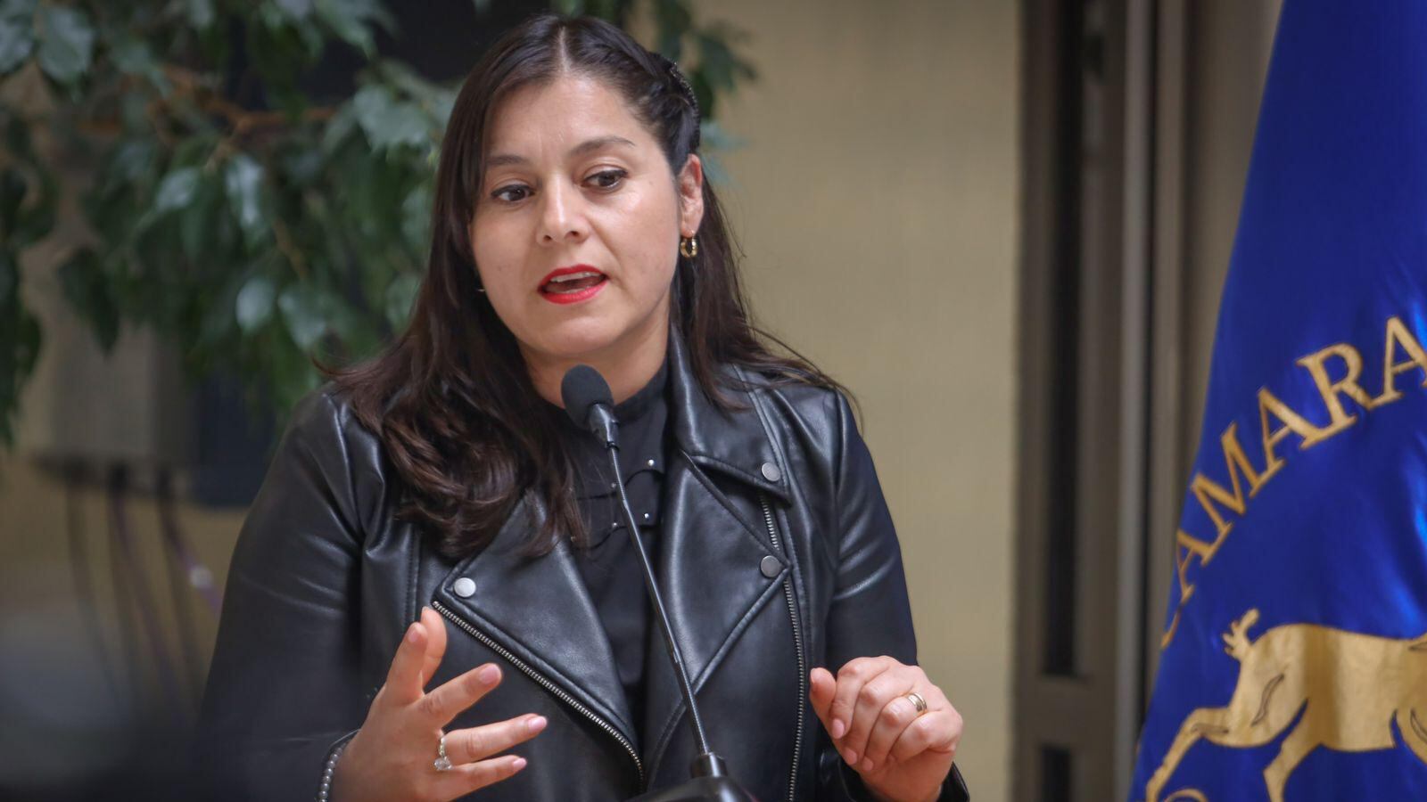 Diputada Karen Medina exige regulación del “gas de la risa” ante riesgos de su consumo en Chile