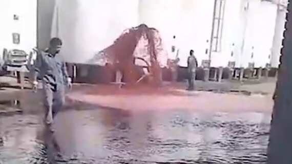 Vino derramado en Mendoza