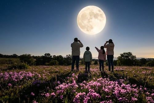 Luna Rosa 2026: hora exacta, cuándo y cómo observar este fenómeno astronómico