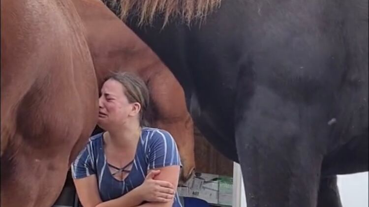 Caballo consuela a su cuidadora tras romper en llanto.