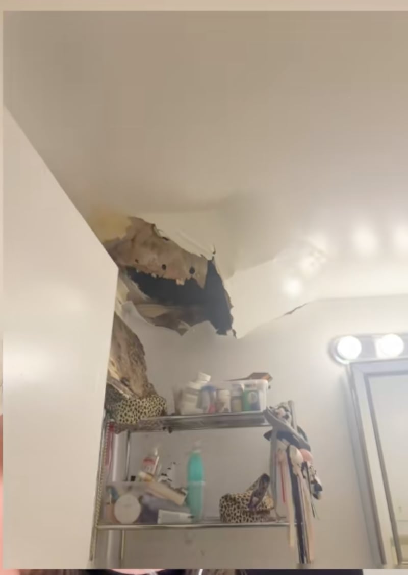 TikTok bycarolynd