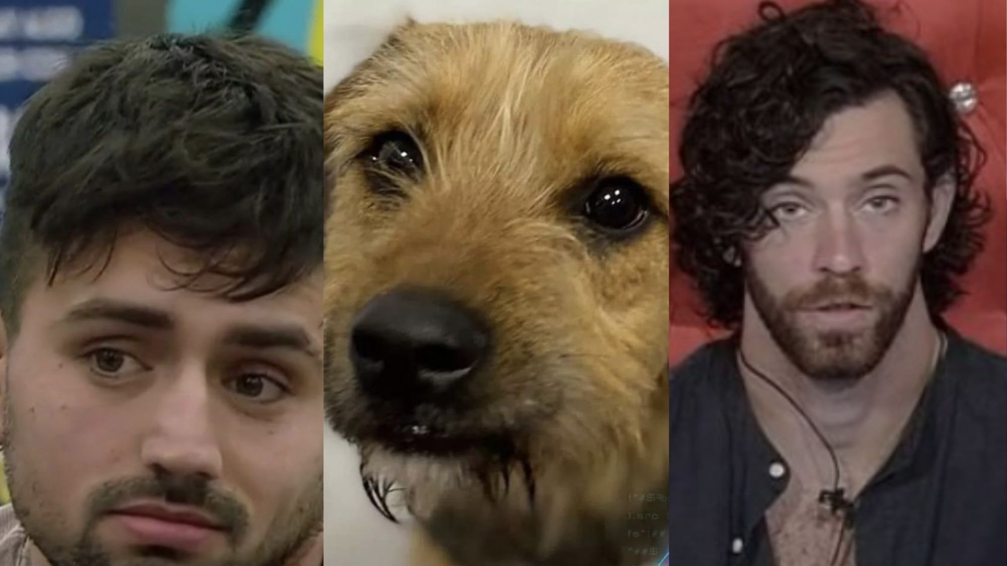 Fernando, Lucas y Bigote | "Gran Hermano"