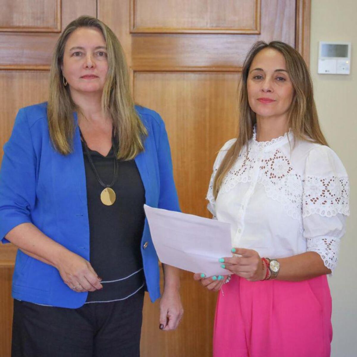 Diputadas piden modificar normativa de aeropuertos para asistencia a pasajeros con movilidad reducida Diputadas piden modificar normativa de aeropuertos para asistencia a pasajeros con movilidad reducida