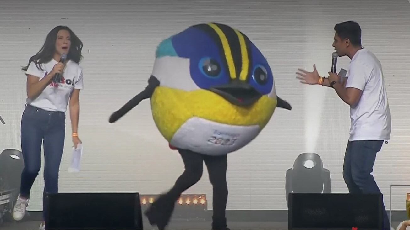 Fiu en Juntos Chile se Levanta