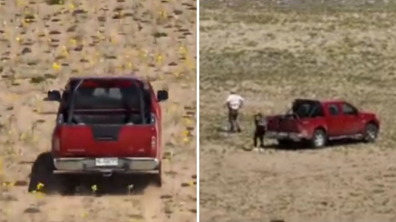 Repudio por pareja que atravesó el Desierto Florido en camioneta para sacar una foto