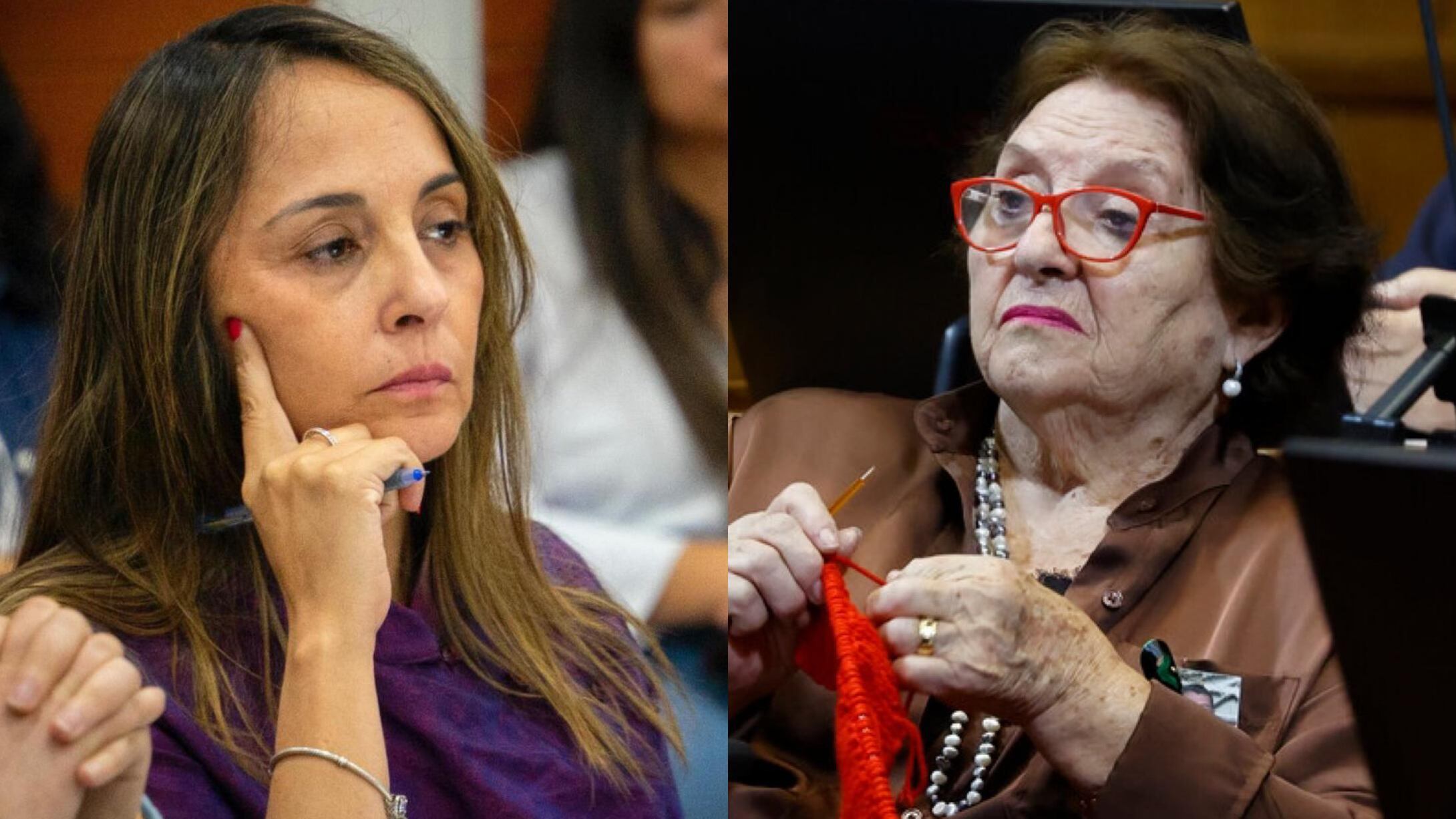 Diputadas Carla Morales y María Luisa Cordero