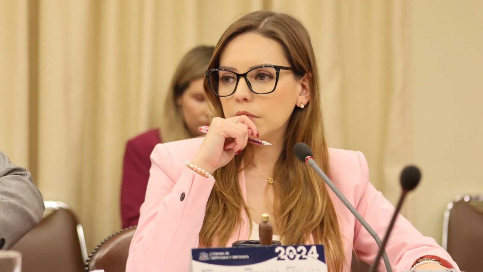 Diputada Camila Flores