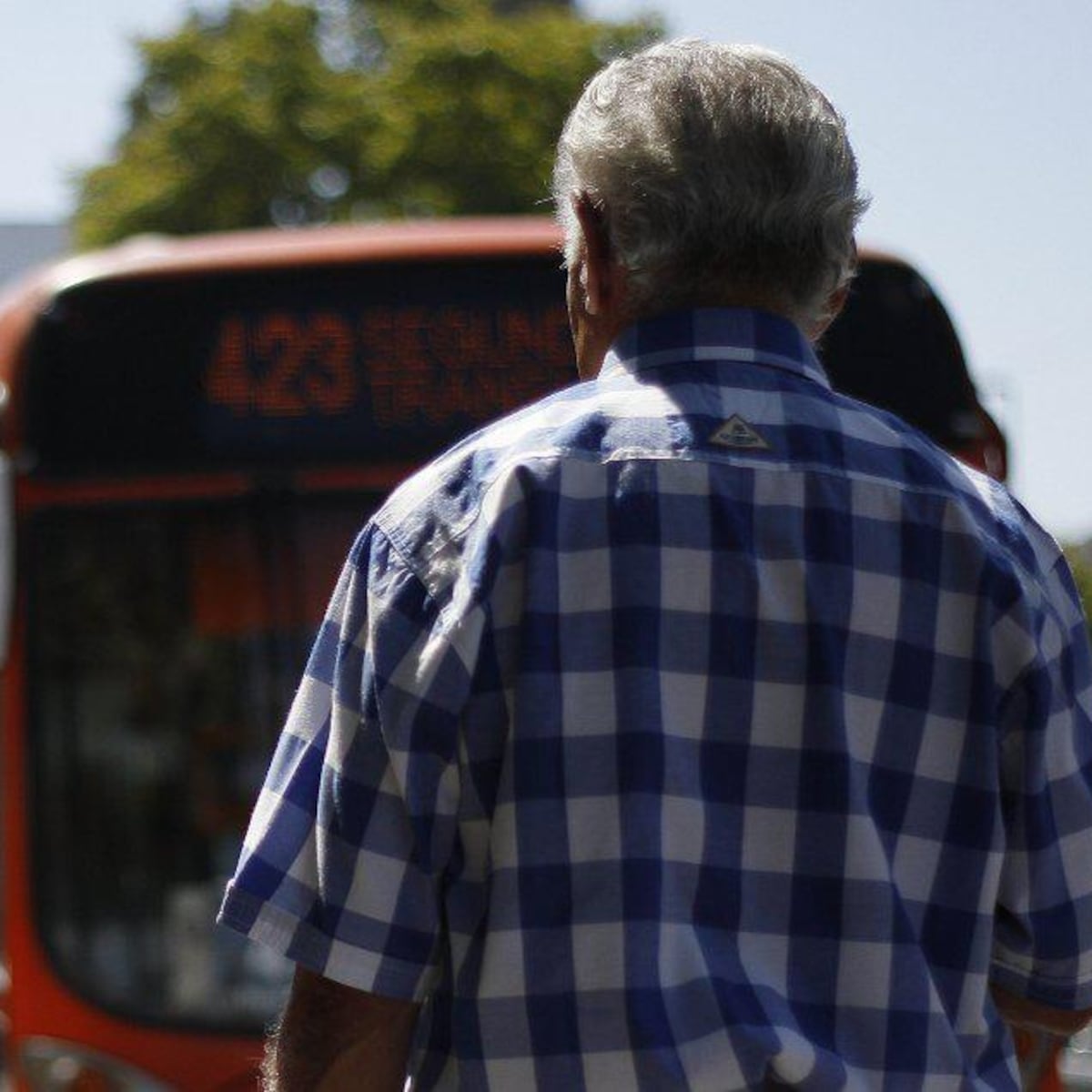 AMUCH propone transporte público gratuito para adultos mayores en todo Chile AMUCH propone transporte público gratuito para adultos mayores en todo Chile