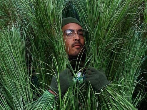 Disfraz de arbusto usado en el medio tiempo de Bad Bunny sale a la venta: ¿Cuál es su precio?