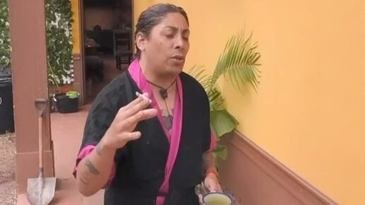 El transformista reveló en sus redes sociales que una de las afectadas por los incendios que azotaron a la región de Valparaíso fue su "tía Alicia".