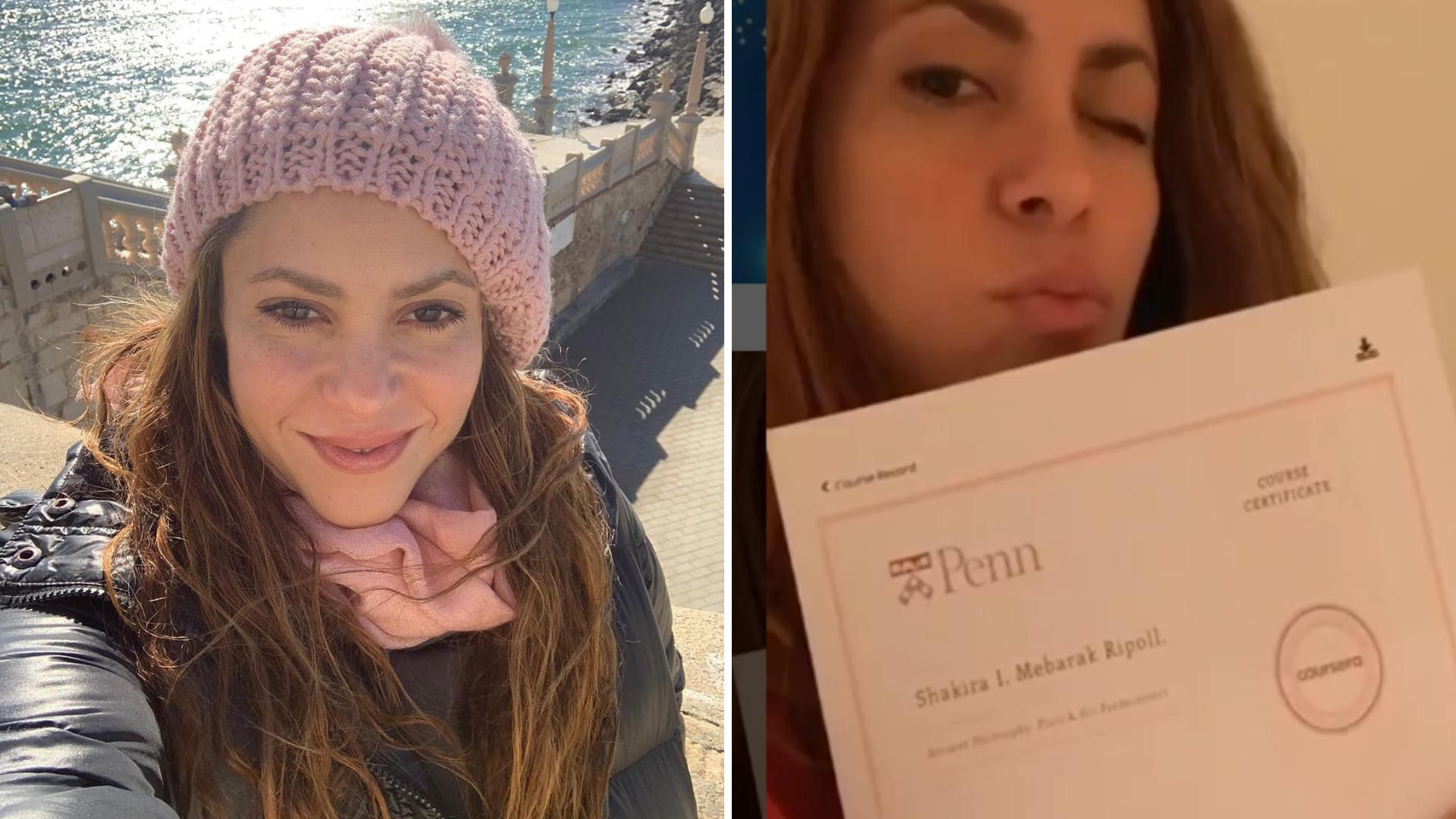 Shakira: esto son los estudios que tiene la cantante