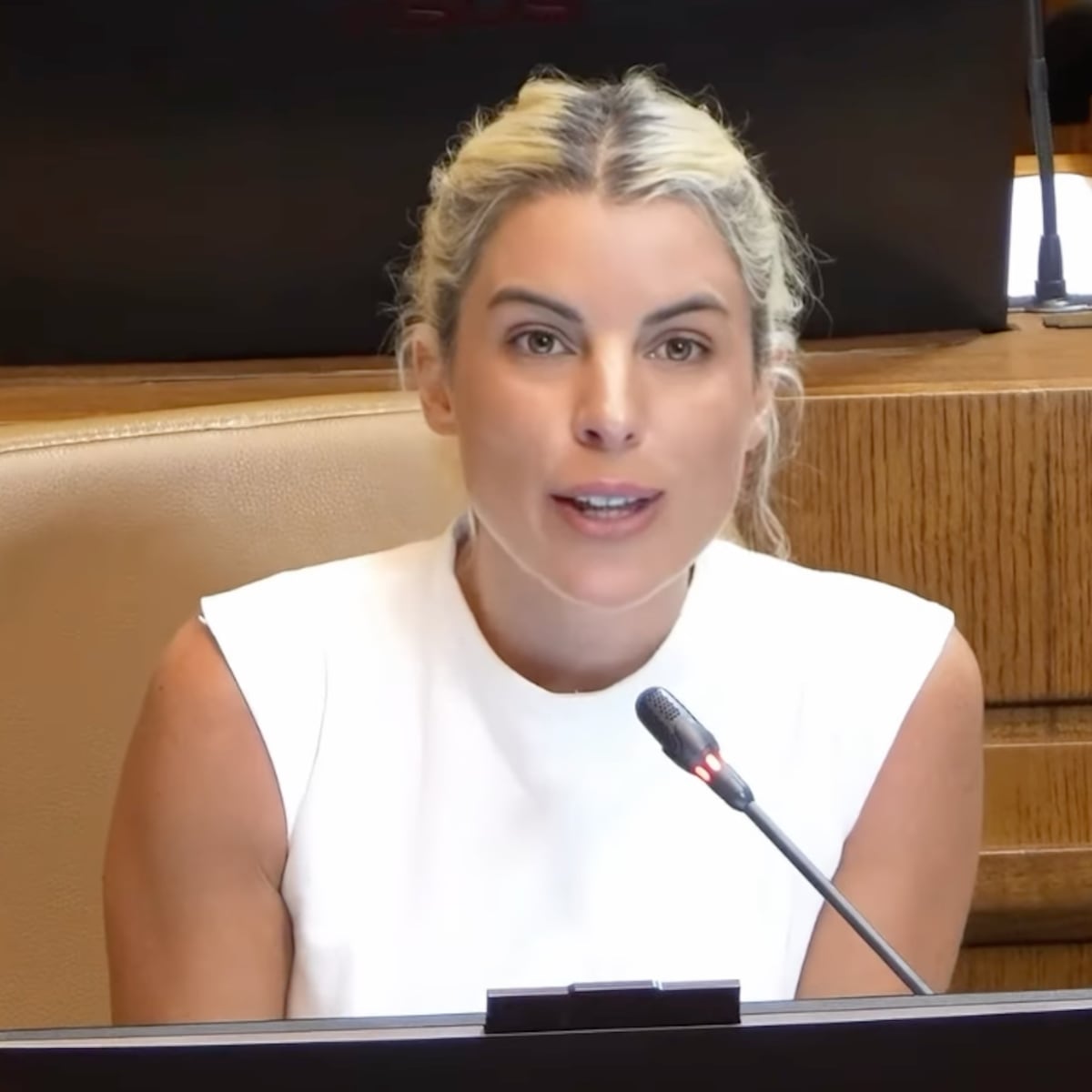 Mejor Niñez niega a Maite Orsini ser familia de acogida Mejor Niñez niega a Maite Orsini ser familia de acogida