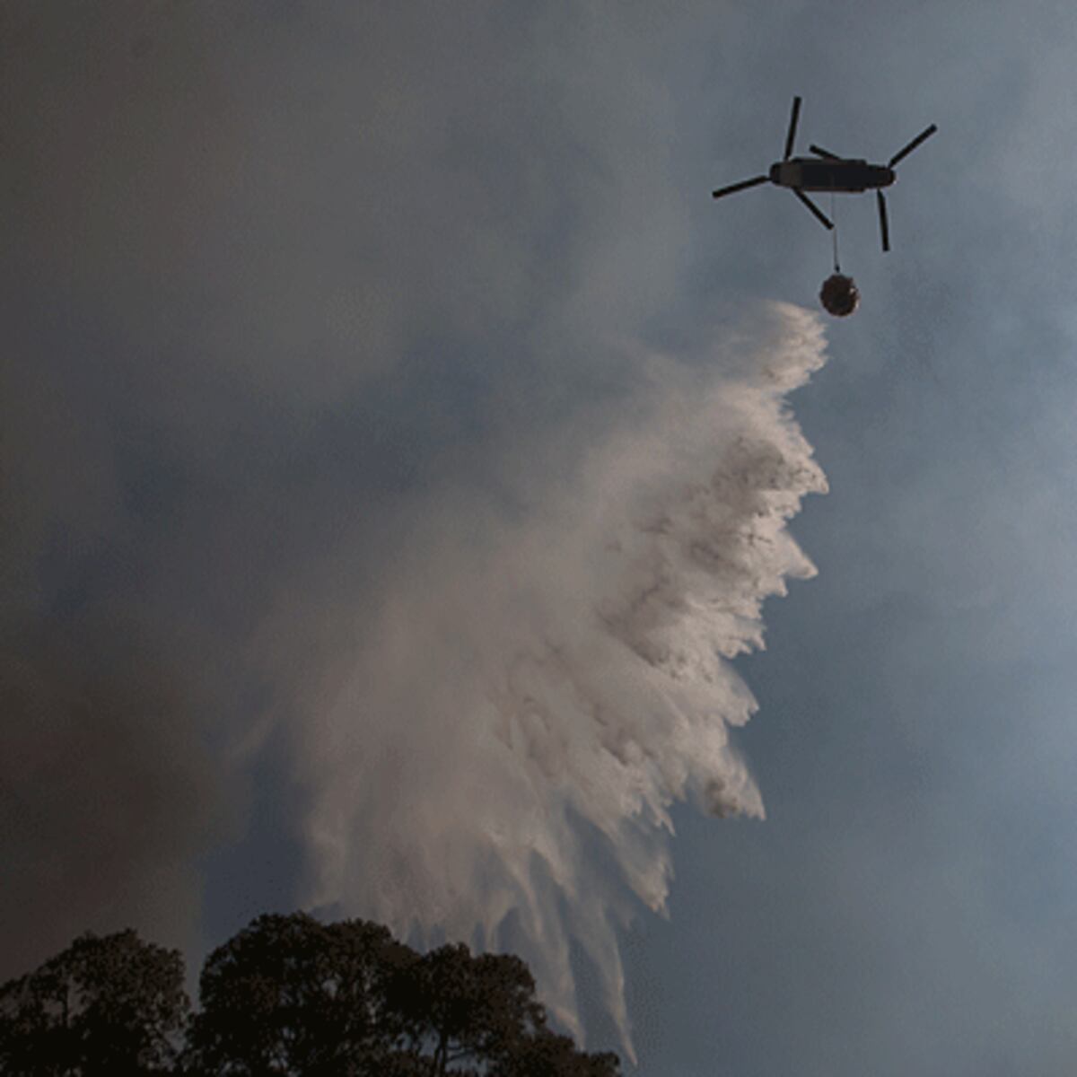 Incendio descontrolado en Collipulli: evacuación activada por Senapred Incendio descontrolado en Collipulli: evacuación activada por Senapred