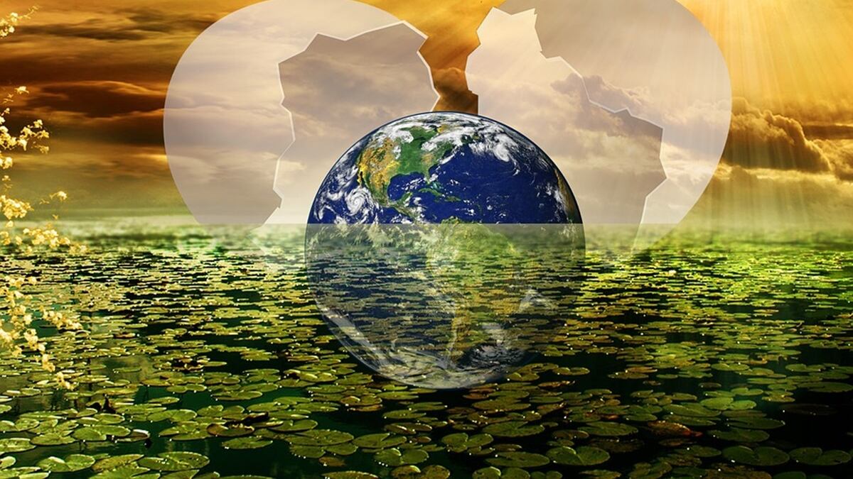 Vida en la Tierra Pixabay