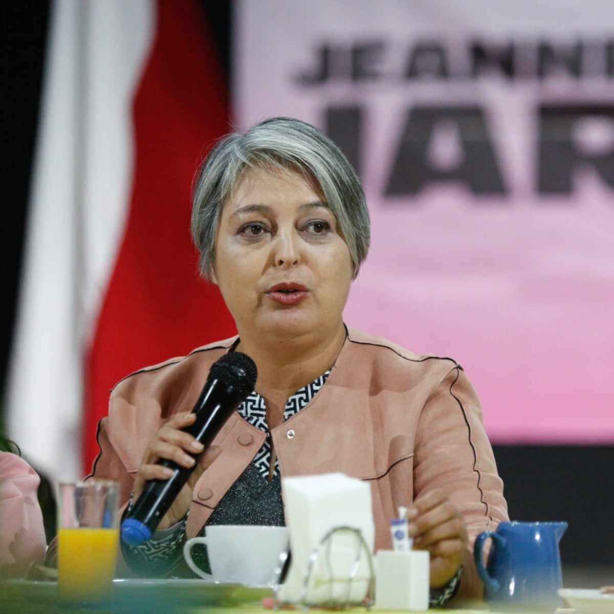 Jeannette Jara lanza su campaña con un mensaje de igualdad social Jeannette Jara lanza su campaña con un mensaje de igualdad social