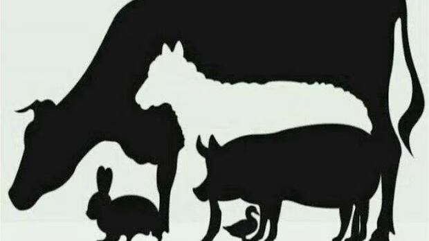 ¿Cuántos animales ves?