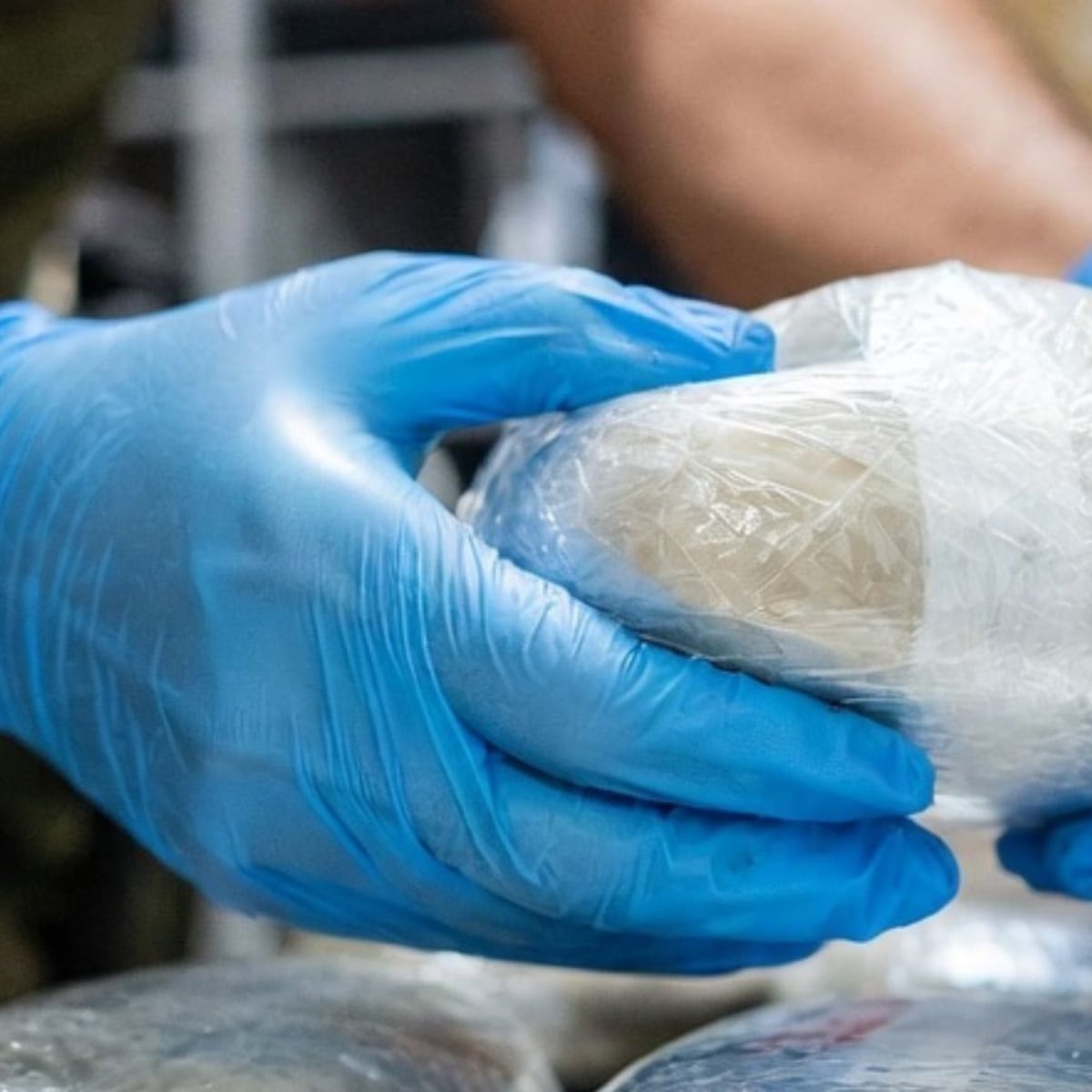 Desarticulan banda que transportaba $630 millones en marihuana al sur Desarticulan banda que transportaba $630 millones en marihuana al sur