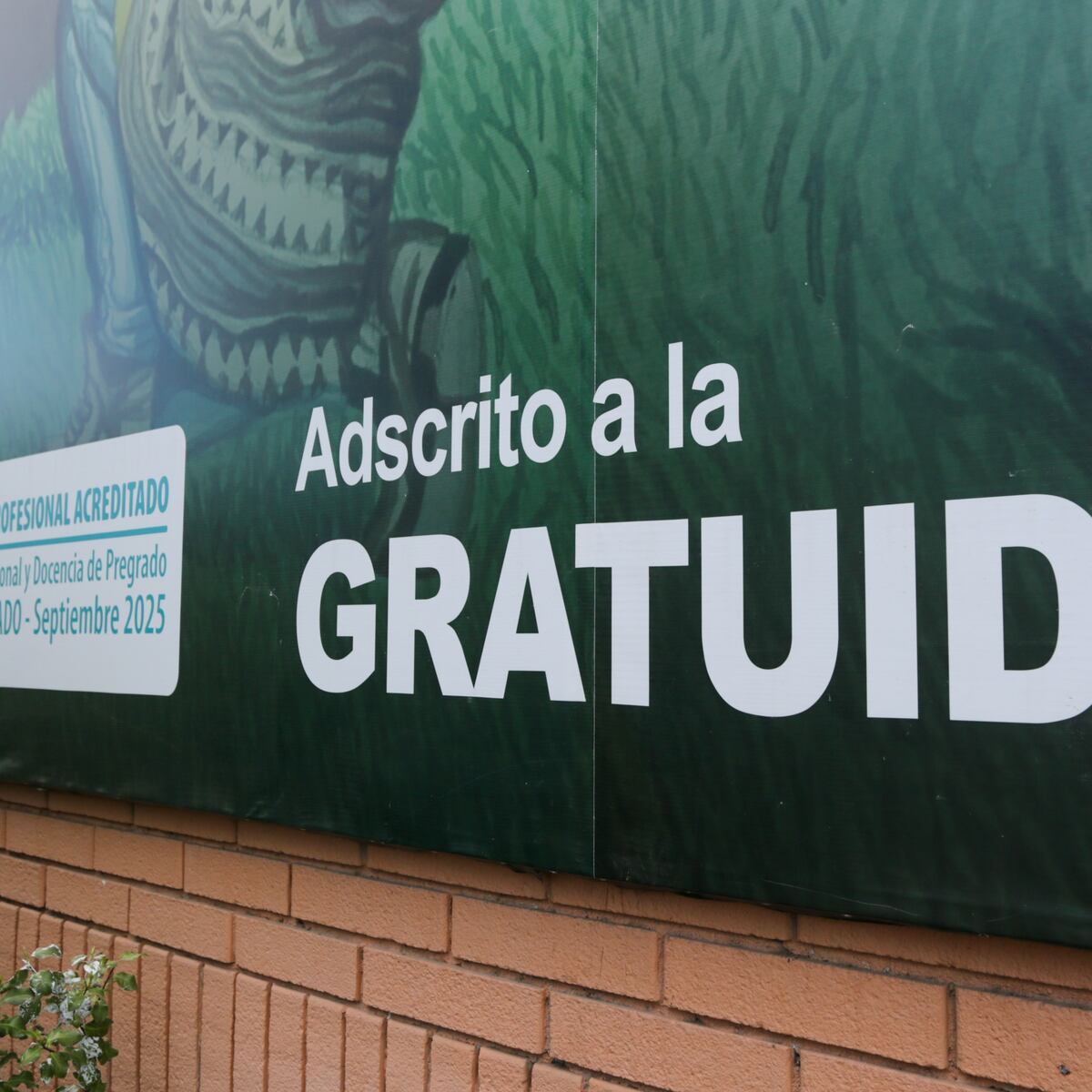 Resultados de preselección Fuas 2025 liberados en Chile Resultados de preselección Fuas 2025 liberados en Chile
