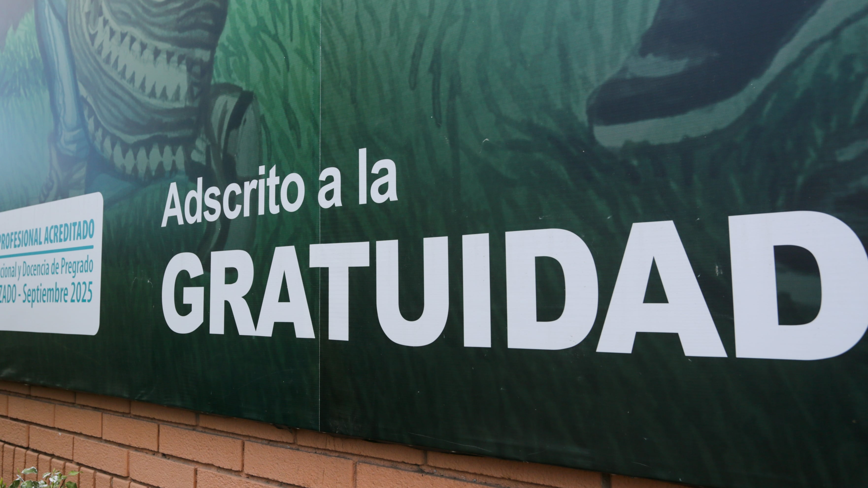 Esta semana se conocieron los resultados de los estudiantes preseleccionados con el beneficio de becas y gratuidad del Fuas.