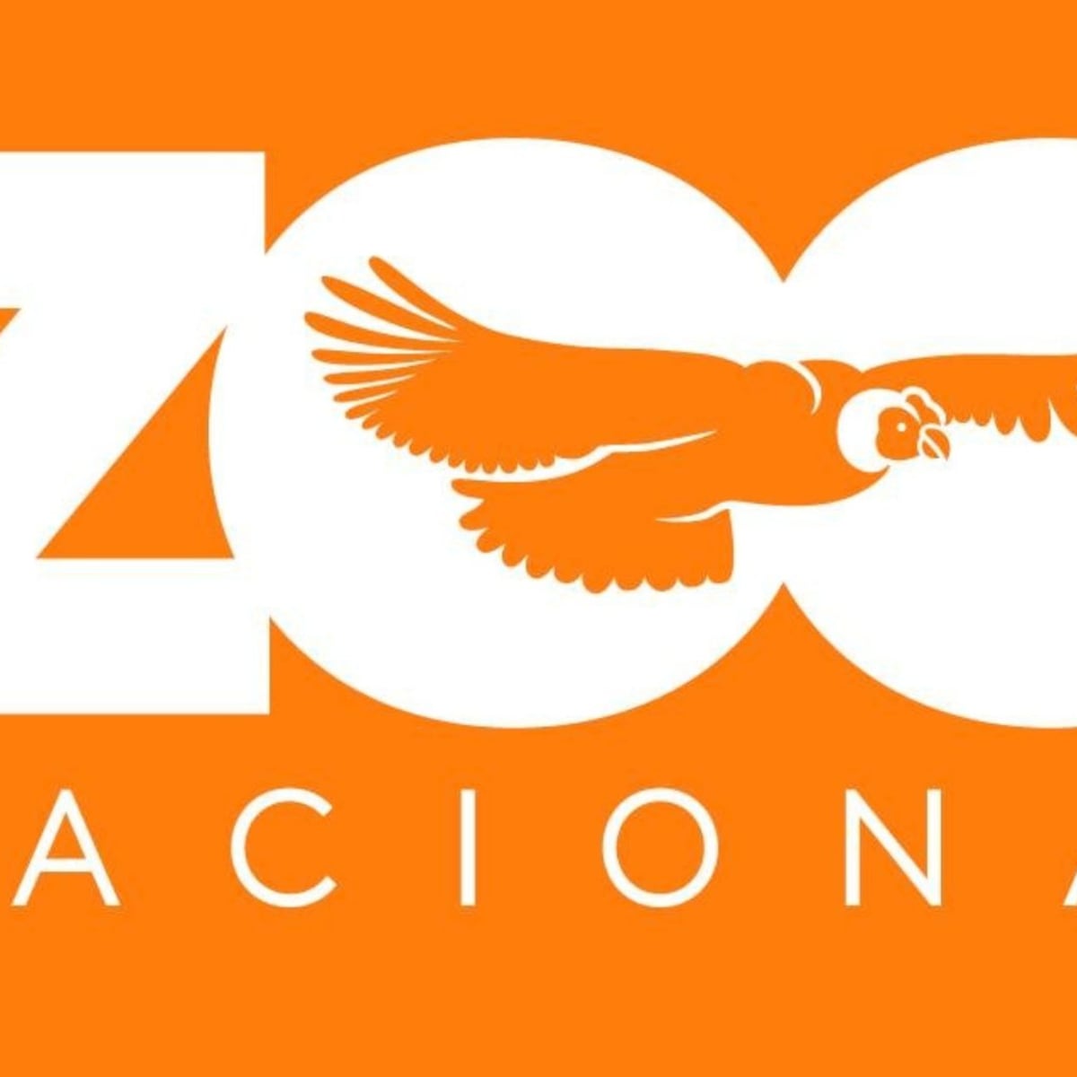 Zoológico Nacional Santiago: reapertura con reserva online gratuita Zoológico Nacional Santiago: reapertura con reserva online gratuita