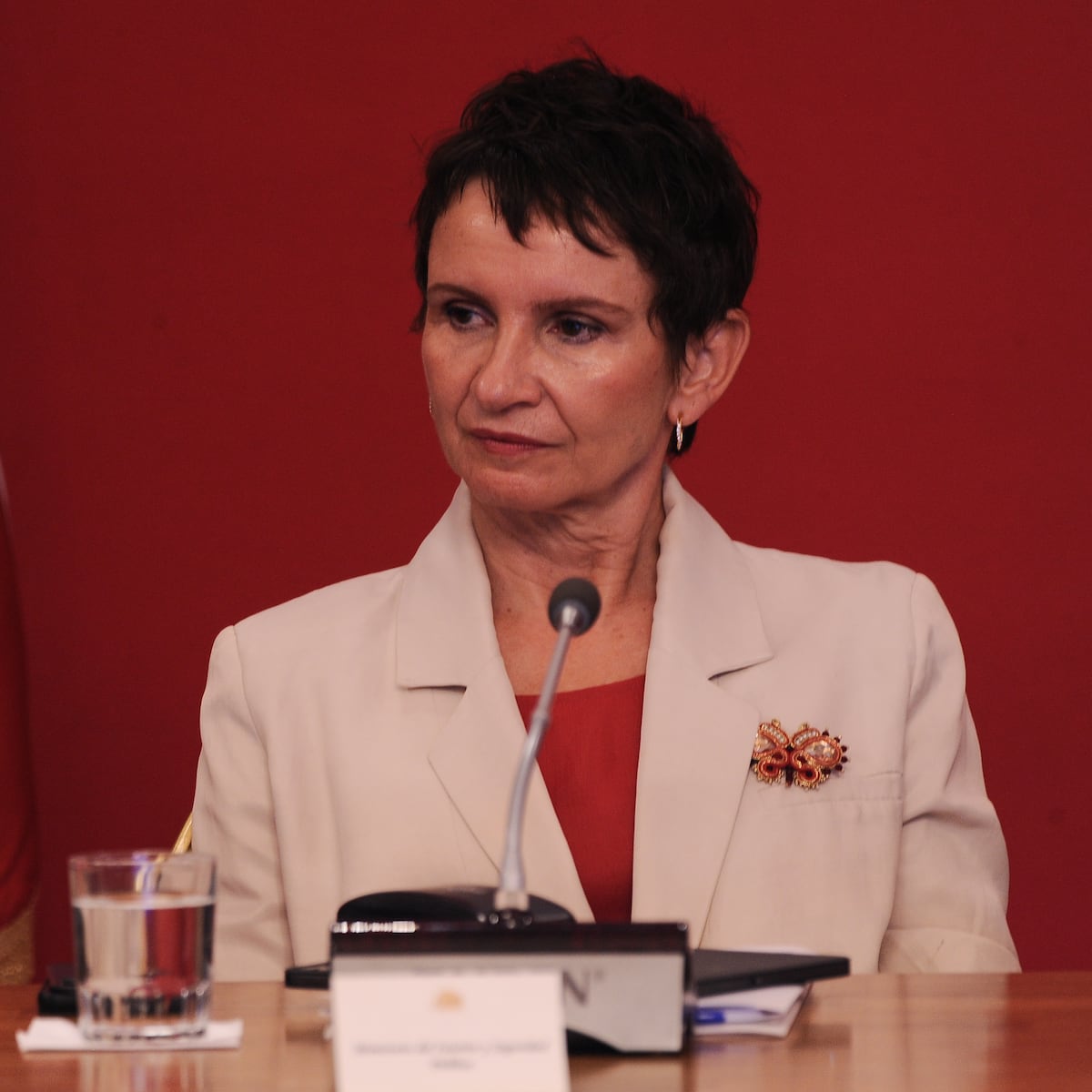 Ministra Carolina Tohá desmiente rumores de candidatura presidencial Ministra Carolina Tohá desmiente rumores de candidatura presidencial