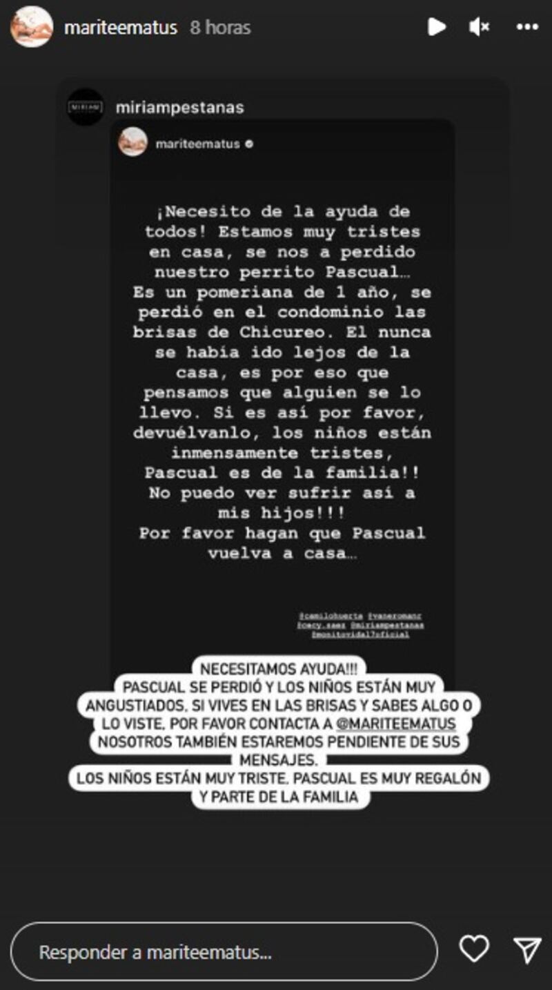Marité Matus perdió este fin de semana a su mascota en el interior del condominio donde reside.