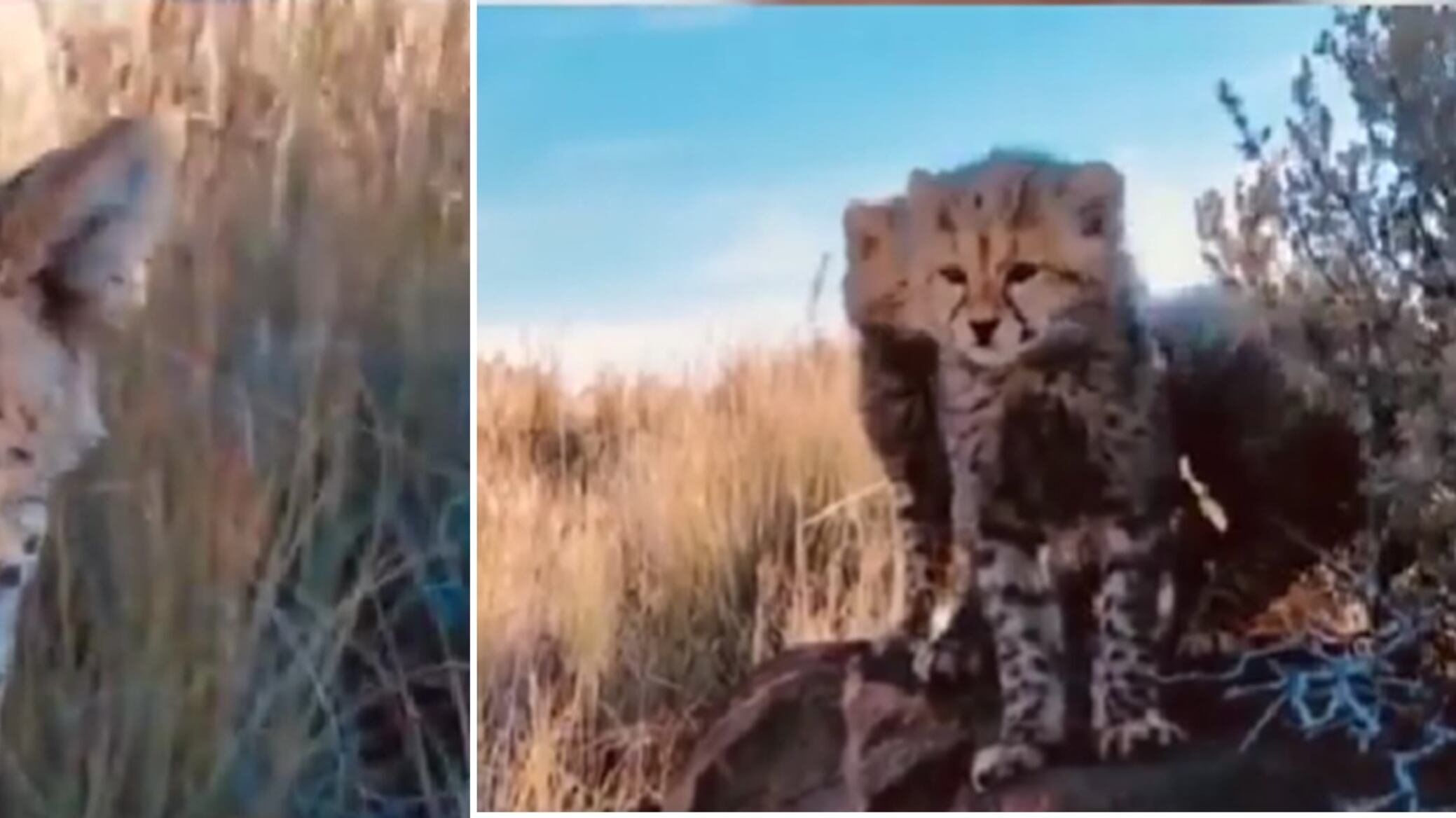 Usuarios en las redes se conmovieron y no tardaron en reaccionar