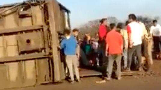 50 vacas fueron faenadas