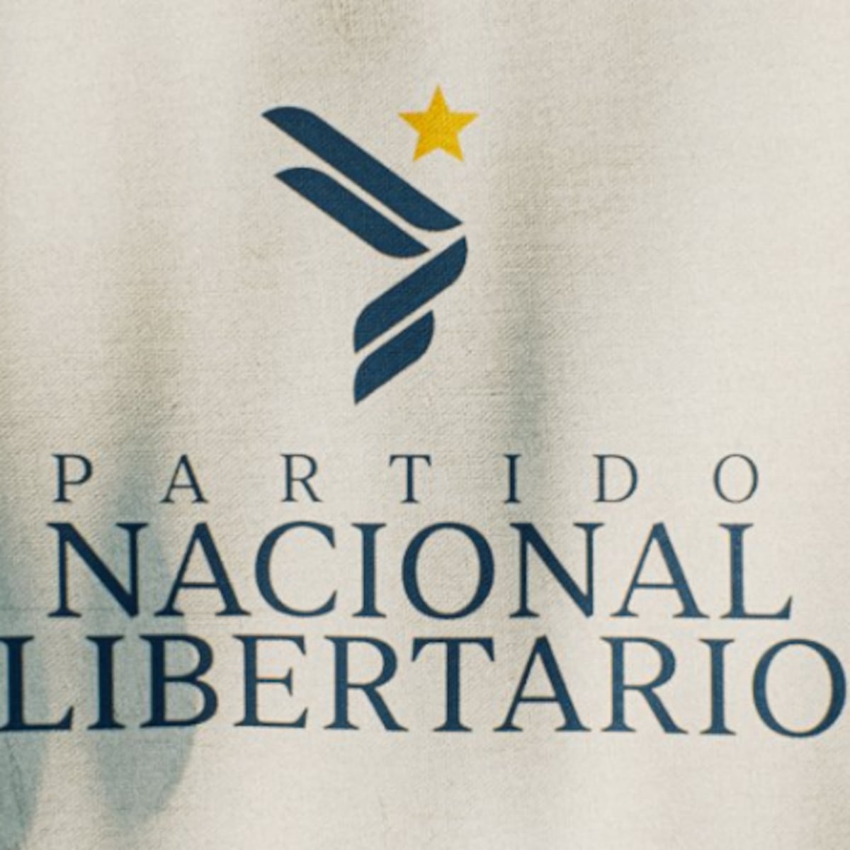 Partido Nacional Libertario sigue a Johannes Kaiser Partido Nacional Libertario sigue a Johannes Kaiser