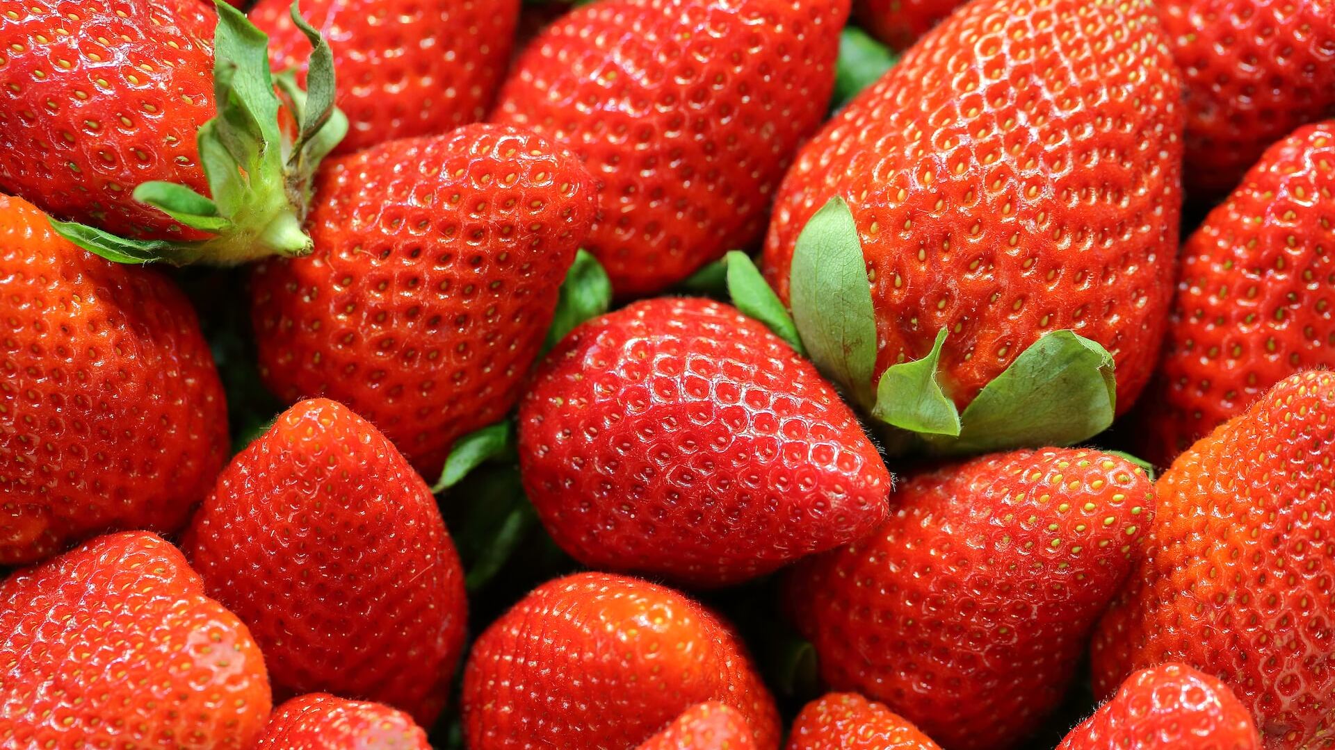 Fresas