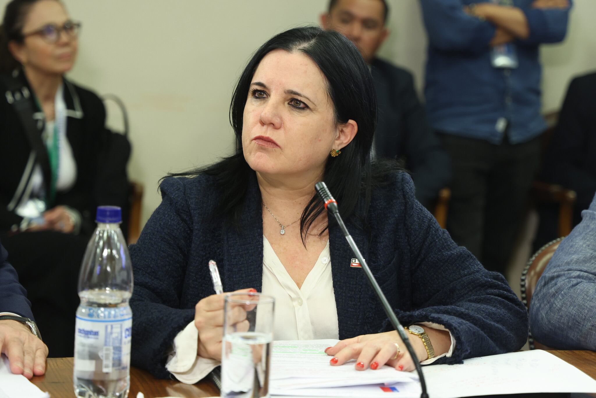 Fracasa sesión clave en el Senado por ausencia de ministra Steinert y subsecretario