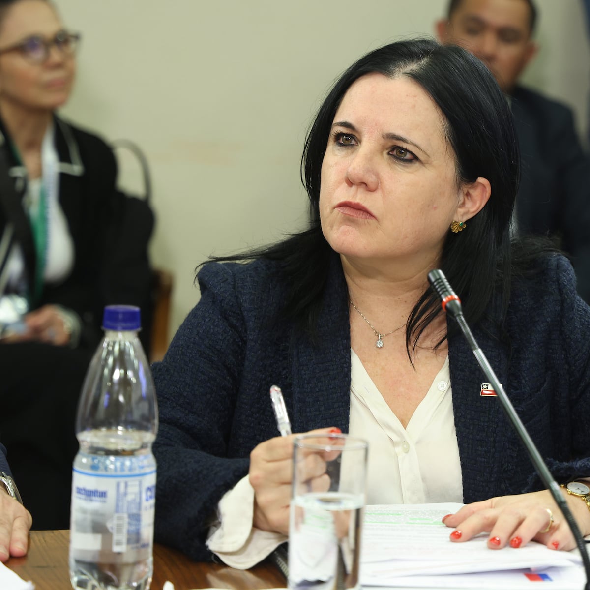 Ministra Steinert niega injerencia en salida de Consuelo Peña de la PDI Ministra Steinert niega injerencia en salida de Consuelo Peña de la PDI