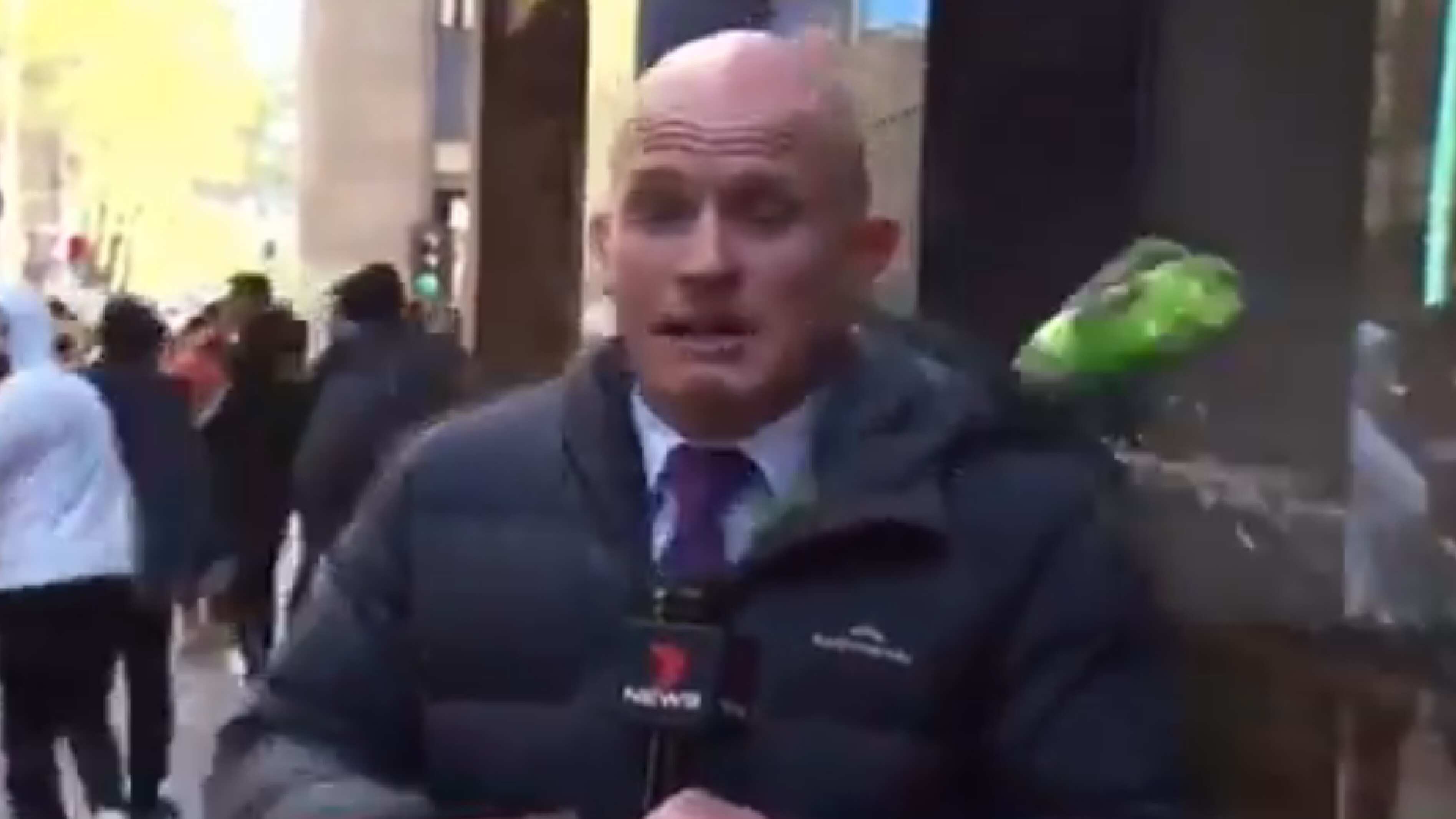 Reportero australiano recibiendo latazo