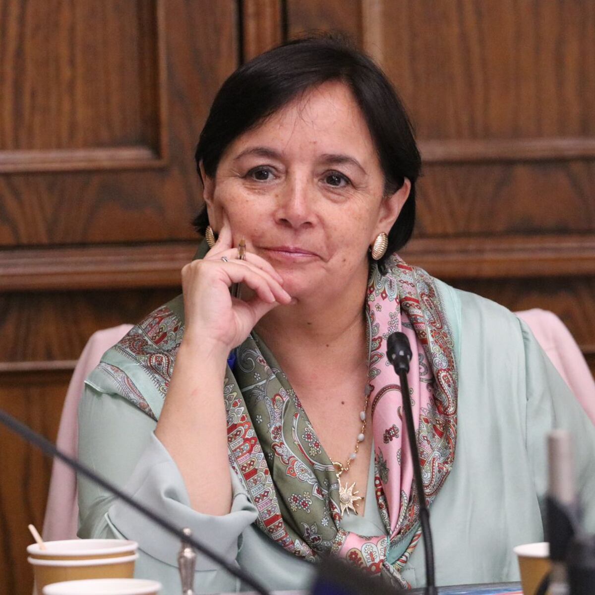 Senadora republicana critica nombramiento de Leitao en seguridad Senadora republicana critica nombramiento de Leitao en seguridad