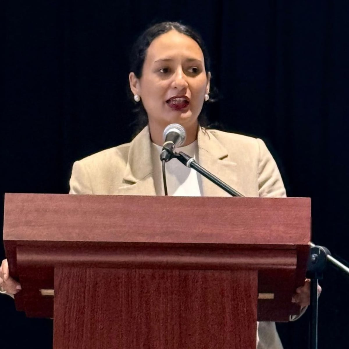 Amenaza del narcotráfico en Lo Espejo: $100 millones por alcaldesa Amenaza del narcotráfico en Lo Espejo: $100 millones por alcaldesa