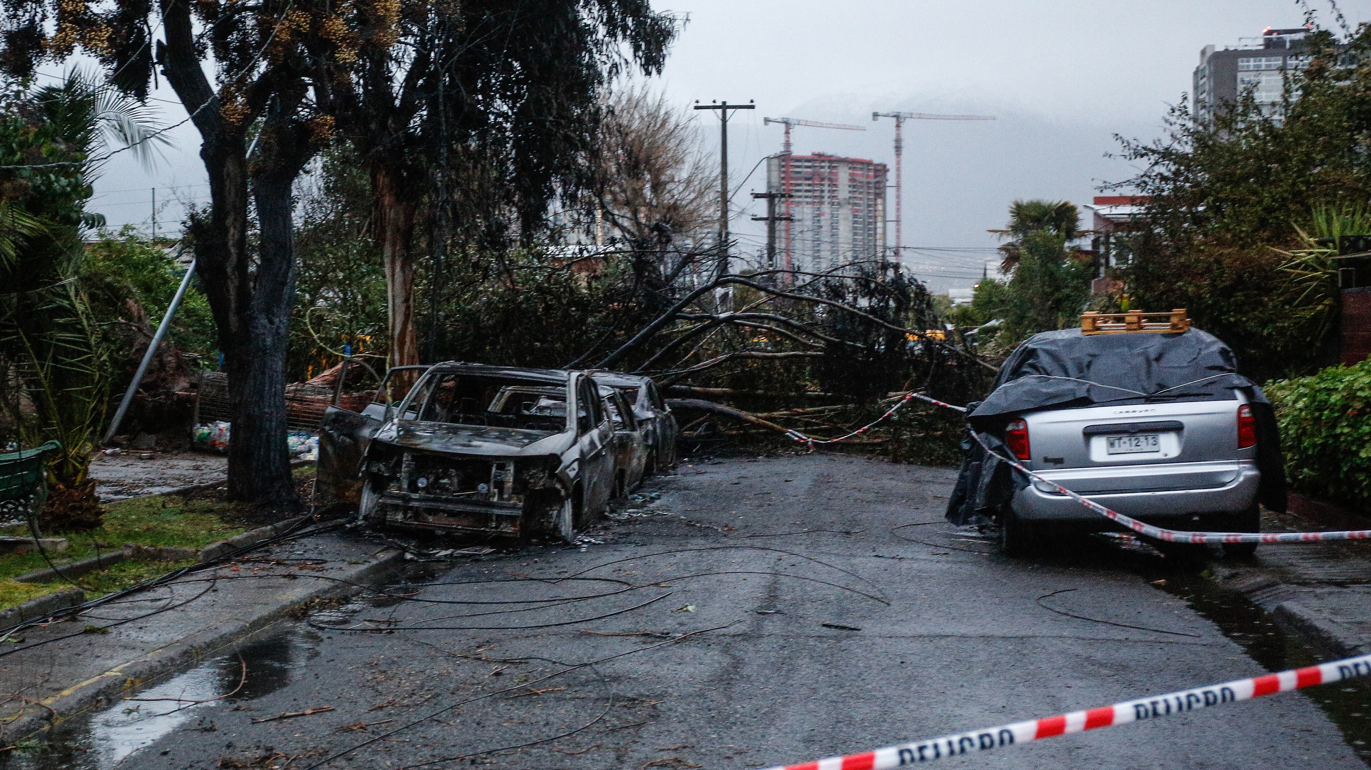 Caída de árboles en la región metropolitana