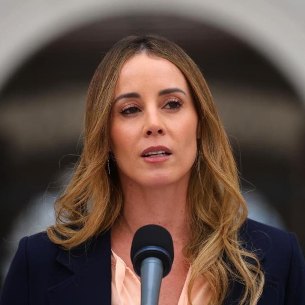 Sedini afirma que Gobierno respondió a la Contraloría por “Estado en quiebra” Sedini afirma que Gobierno respondió a la Contraloría por “Estado en quiebra”