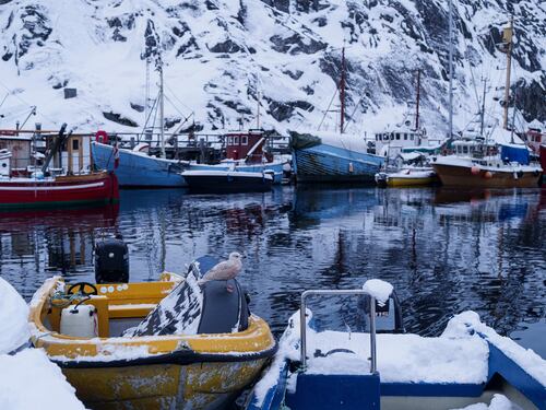 Gobierno de Donald Trump prepara oferta para comprar Groenlandia y ya definió el precio