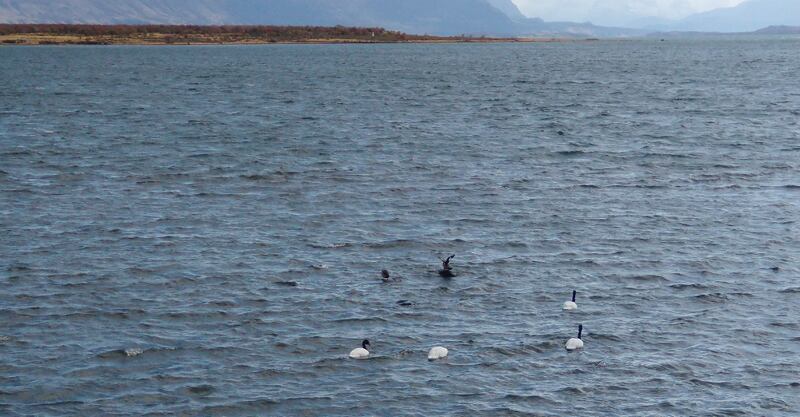 Costa Puerto Natales | Fuente: Publimetro