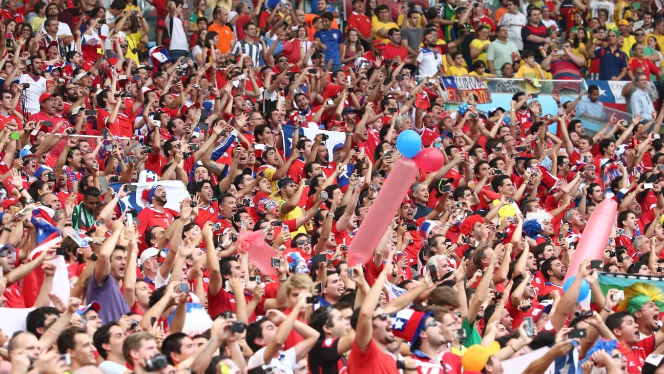 El estudio determinó que el 78% se siente orgulloso de ser chileno