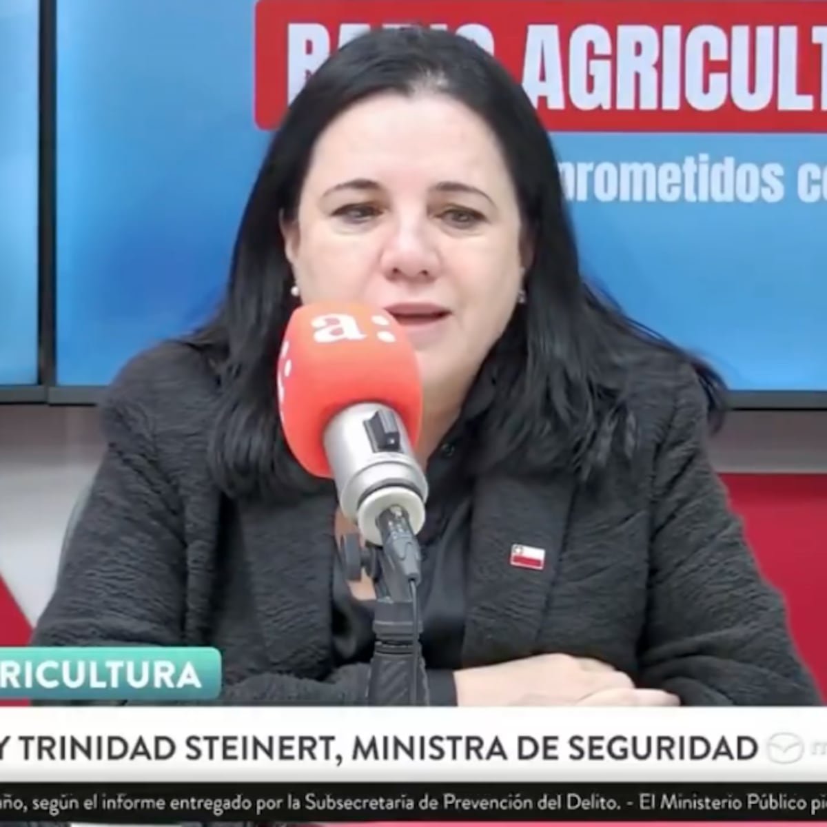 Ministra Steinert sorprendida por alta demanda de plan de seguridad Ministra Steinert sorprendida por alta demanda de plan de seguridad