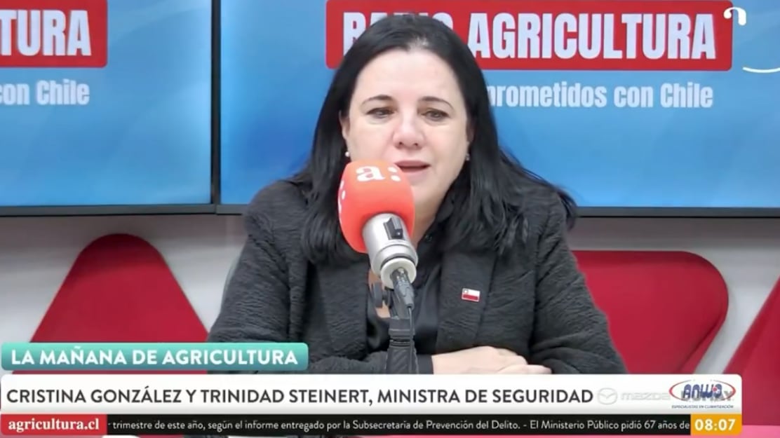 La ministra de Seguridad, Trinidad Steinert, se refirió al plan del gobierno