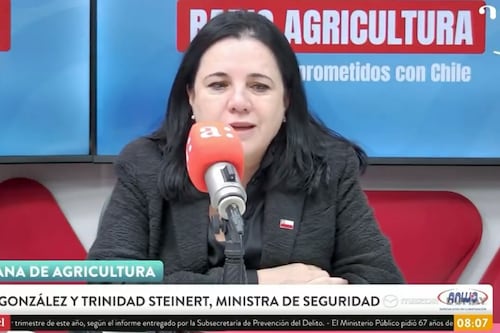 Ministra Steinert reconoce que “no me esperaba” tanta demanda por un “plan de seguridad estructurado”